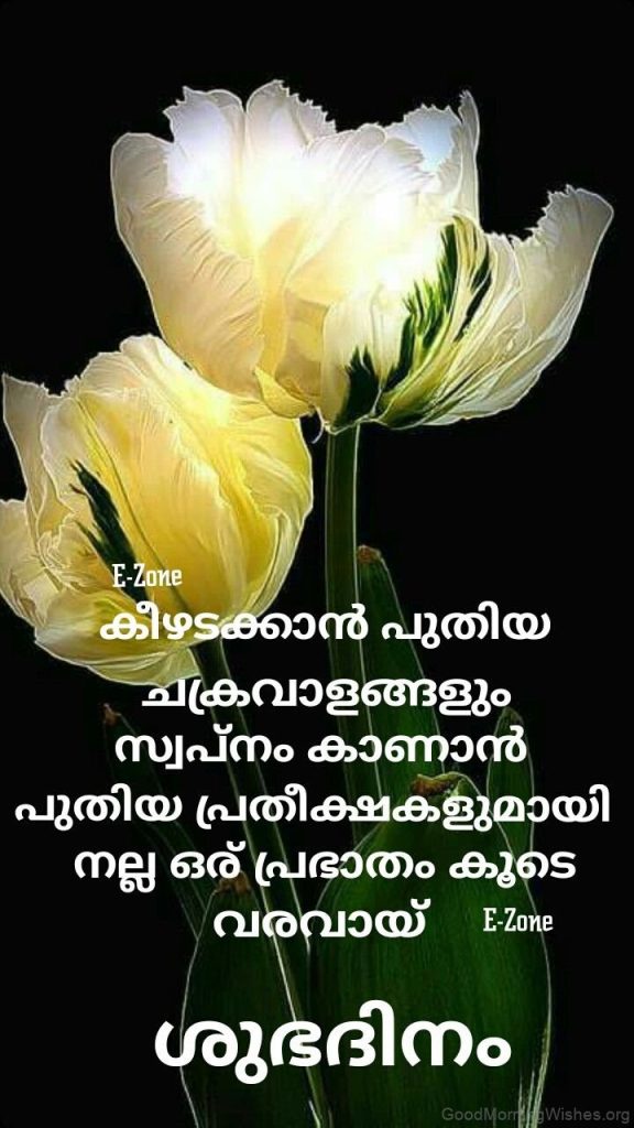 Good Morning Wishes in Malayalam: Start Your Day with Positivity and Joy!