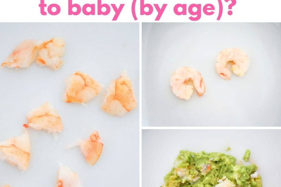 can one year olds eat shrimp